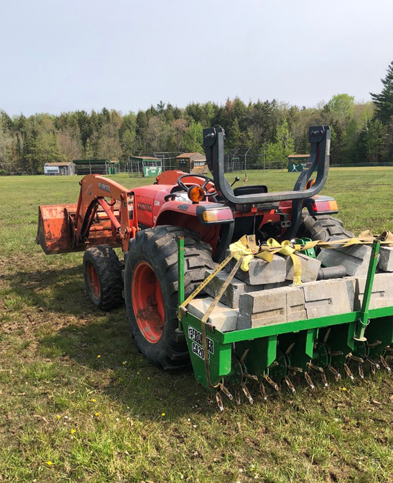 Aerification & Seeding