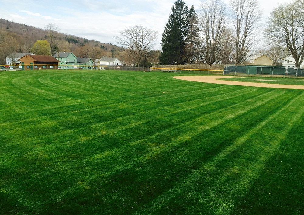 Lawn and Field Mowing Pittsfield